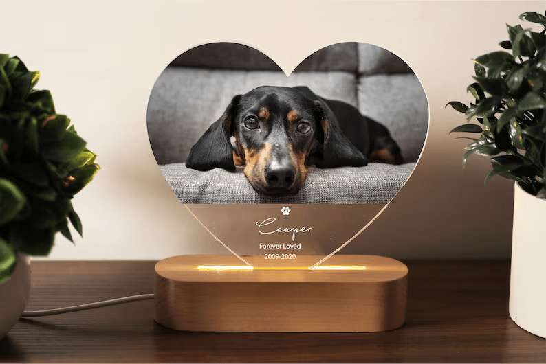 Acrylic Heart Shape Lamp